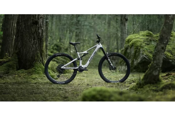 Amflow PL Carbon 800Wh