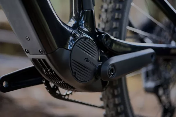 Amflow PL Carbon Pro 800Wh