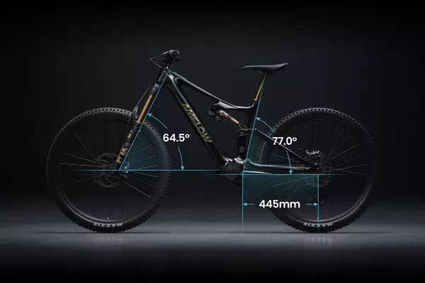 Amflow PL Carbon 800Wh