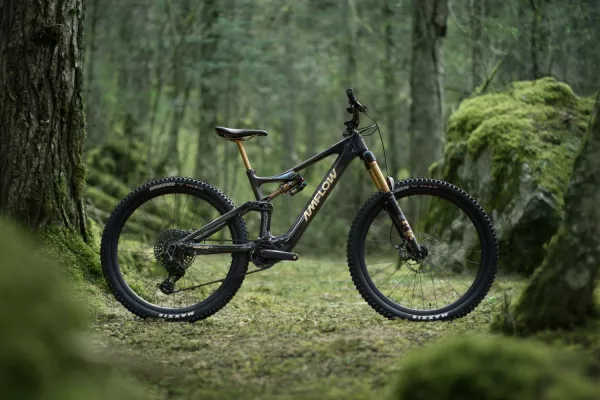 Amflow PL Carbon Pro 800Wh