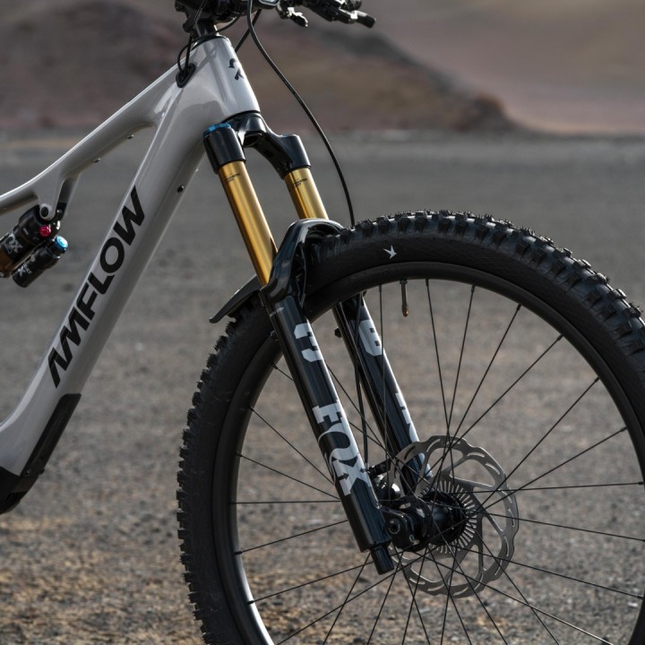 Amflow PX Carbon Pro Avinox M2S 700Wh – E-MTB Premium Haute Performance