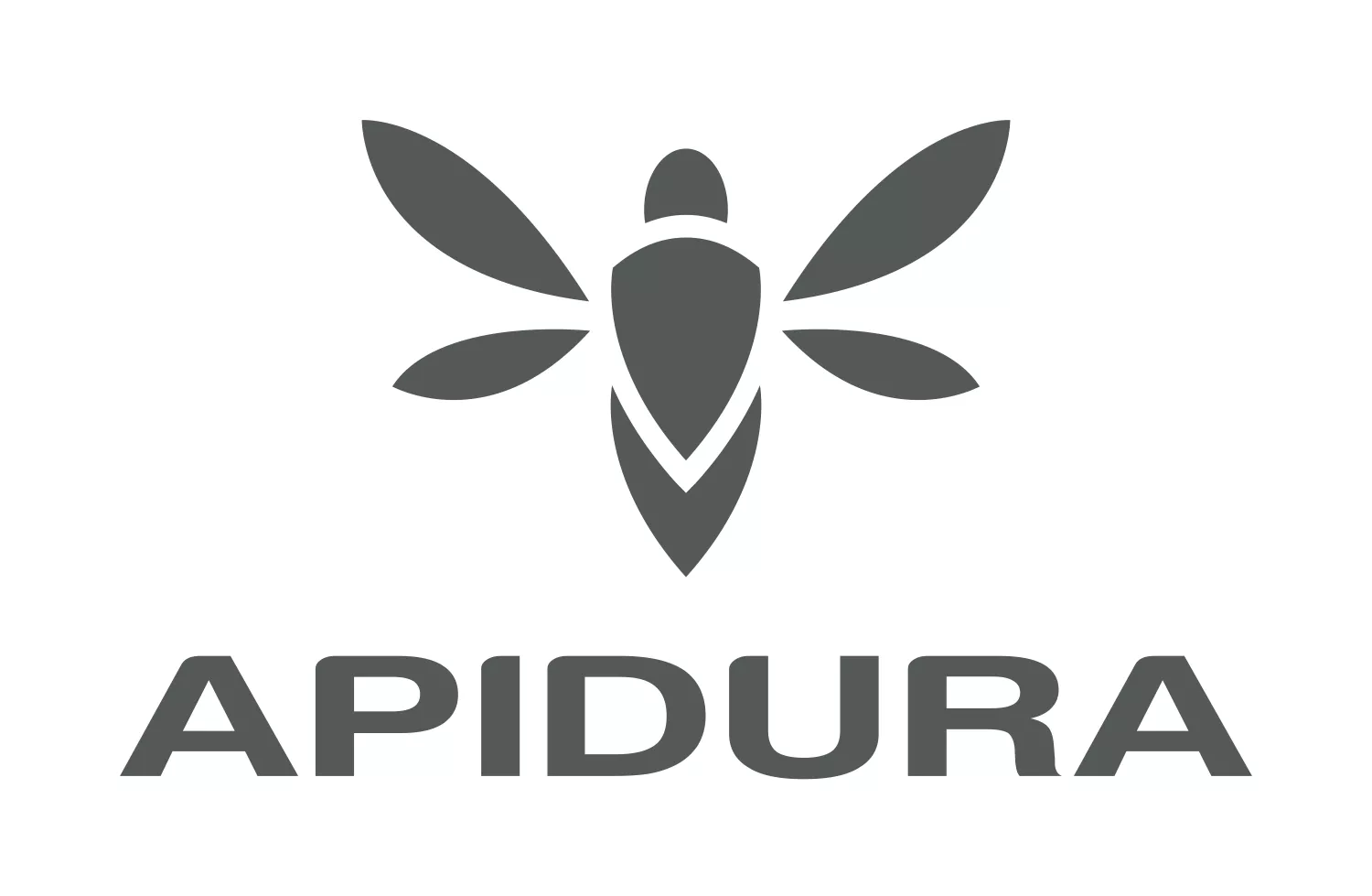 Apidura